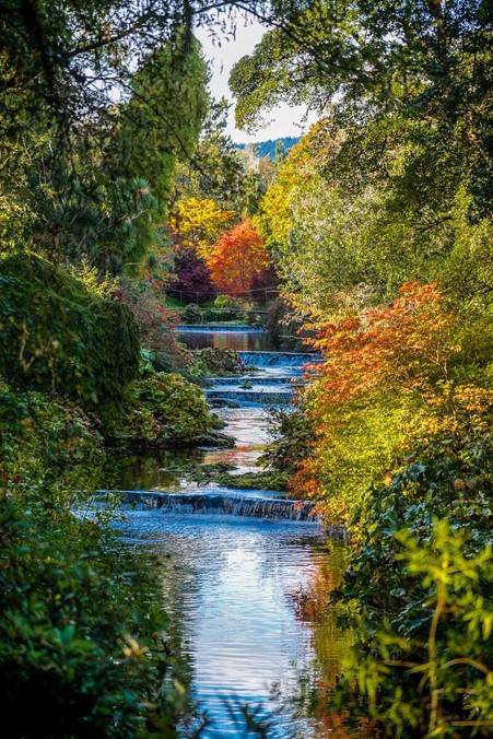 Mount Usher Gardens, Co Wicklow