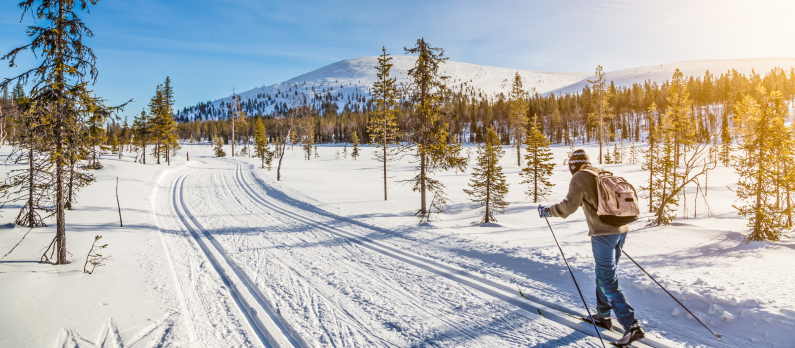 En person går på langrenn på dagtid i snølandskap