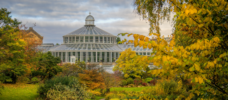 Botanic gardens in Copenhagen