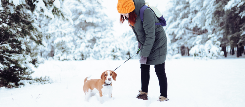 Girl in the forest with her dog in the snow