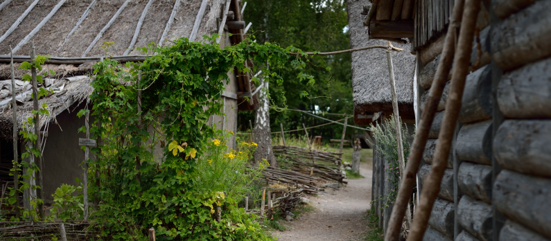 Traditional_viking_age_village_birka