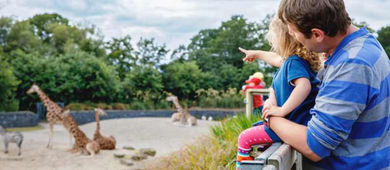 Little girl in dublin zoo with her father