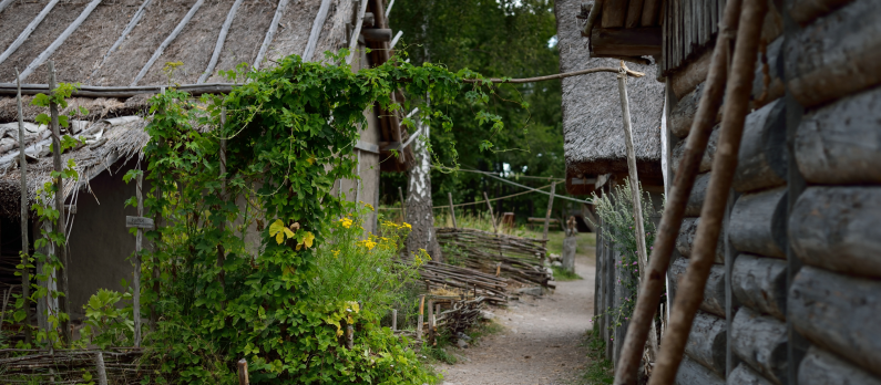 Traditional viking age village
