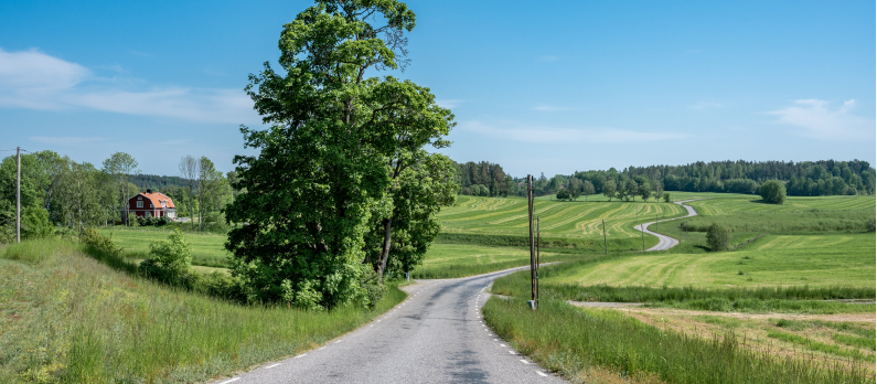 countryside of Sacidermanland