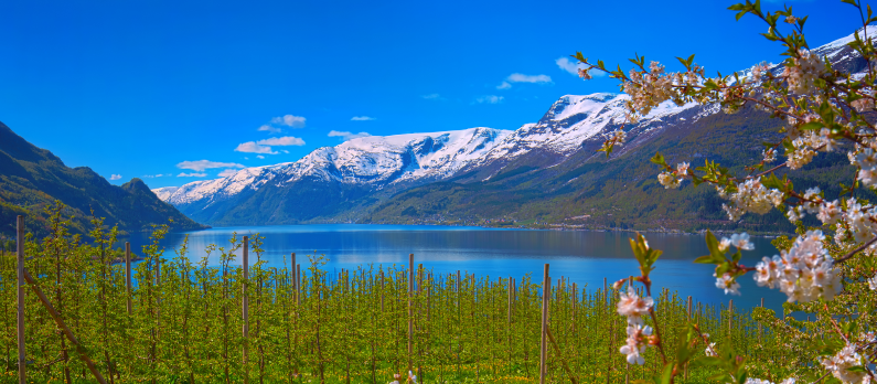 Hardangerfjorden