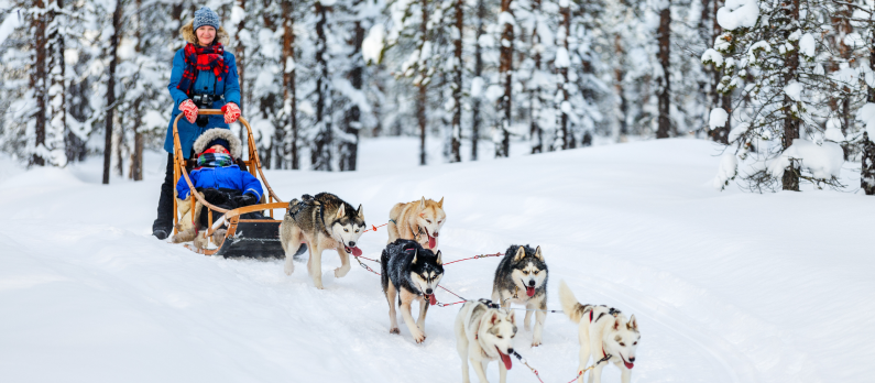 Mother and child dogsledding