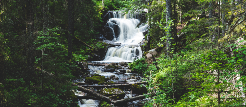 A waterfall in Skuleskogen national park