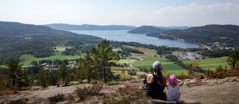 Skule_mountain,_high_coast_in_northern_Sweden