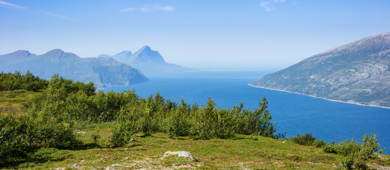 Panoramautsikt over fjordlandskapet i kysttettstedet Nesna i Nordland
