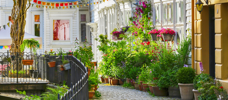 Trivelig brosteinsgate med trehus og frodige blomster i Bergen