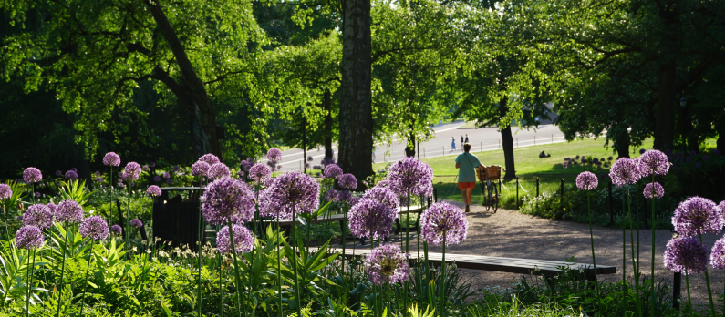 Slottsparken p&aring; sommerstid med blomster i forgrunnen