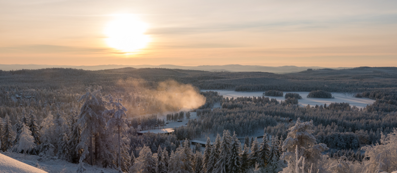 Sunset over winter forest