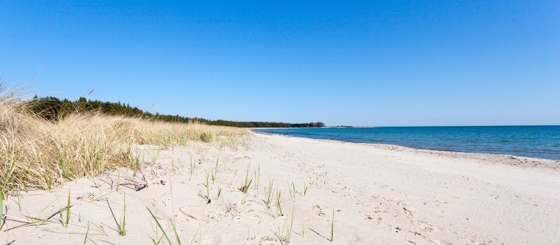 Strand Gotland_i_Sverige