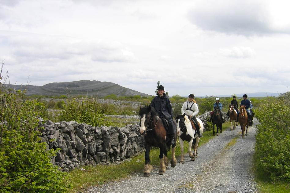 Lough Derg Thatched Cottages horse riding