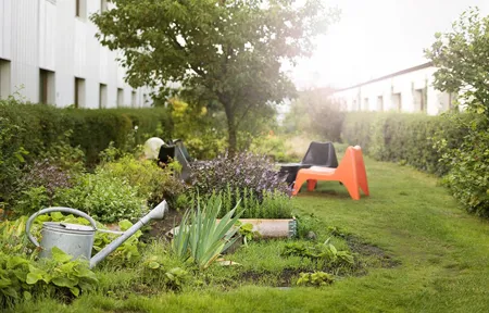 Hotel Garden Trädgård
