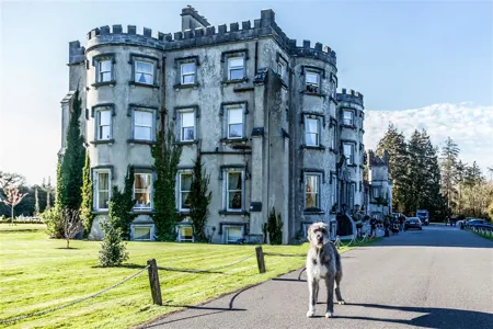 Ballyseede Castle Main Image