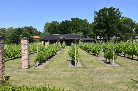 Åmund Vin & Fruktgård Main Image