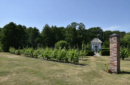 Åmund Vin & Fruktgård