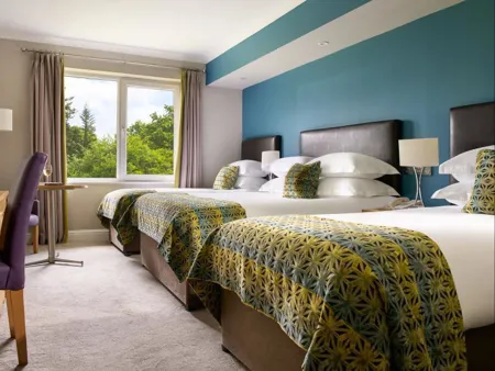 The Rine Hotel Family Room