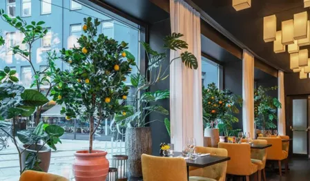 Thon Hotel Rosenkrantz Oslo
